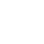 iconPic